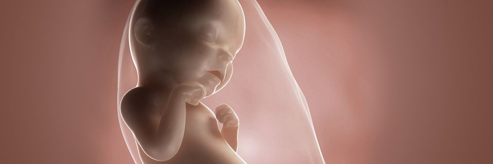 Wann Drehen Sich Babys In Geburtsposition Wann Dreht Sich Baby