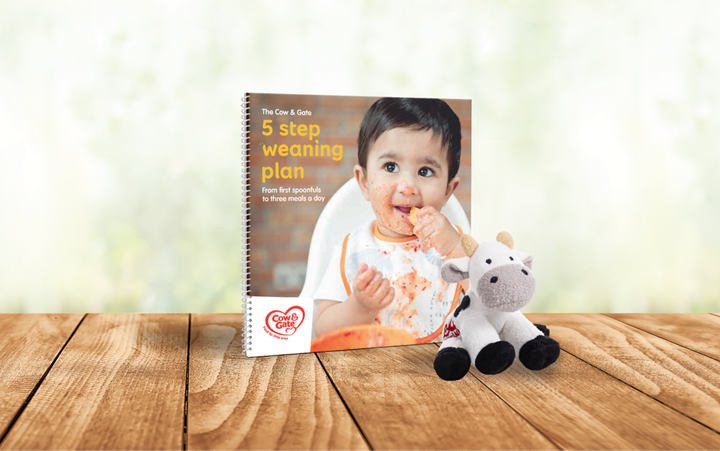 Free cuddly cow toy Pregnant women Star Freebies